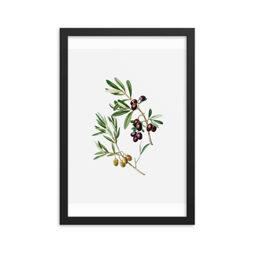 Framed Poster Green Olives with Leaves