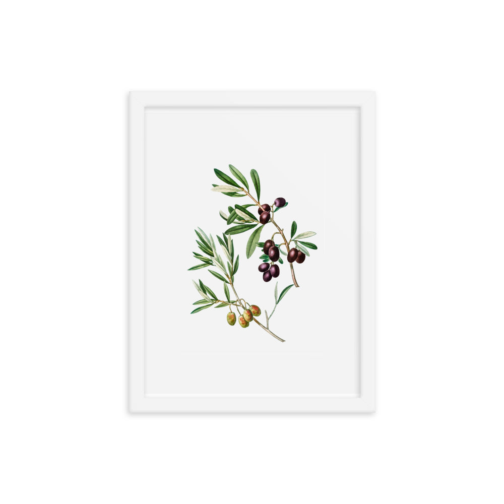 Framed Poster Green Olives with Leaves