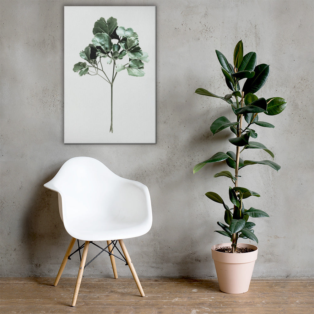 Tropical Plants Canvas Print