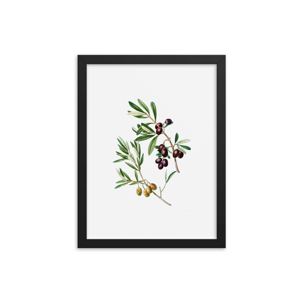 Framed Poster Green Olives with Leaves