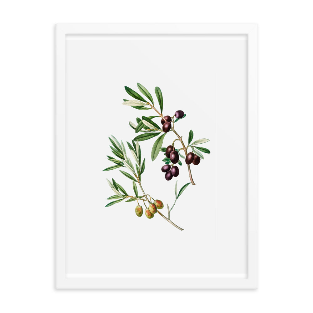 Framed Poster Green Olives with Leaves