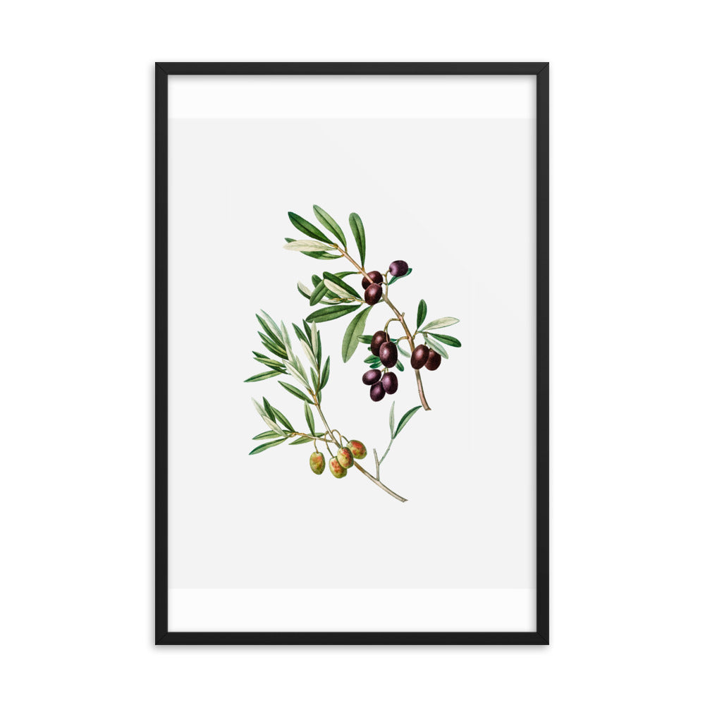 Framed Poster Green Olives with Leaves