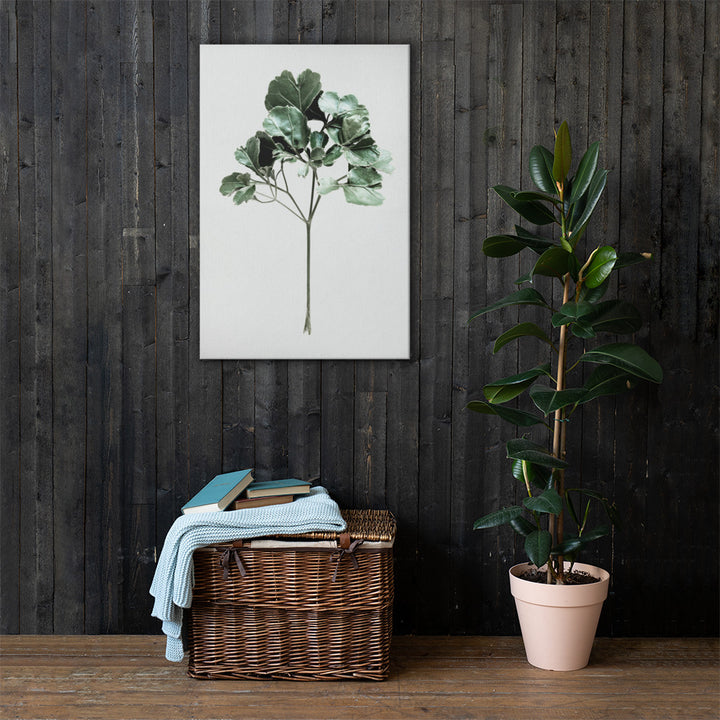 Tropical Plants Canvas Print