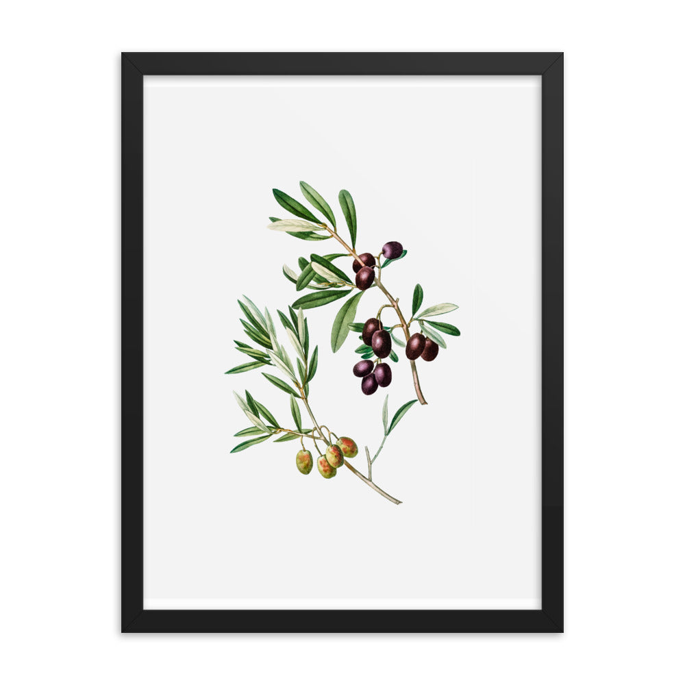 Framed Poster Green Olives with Leaves