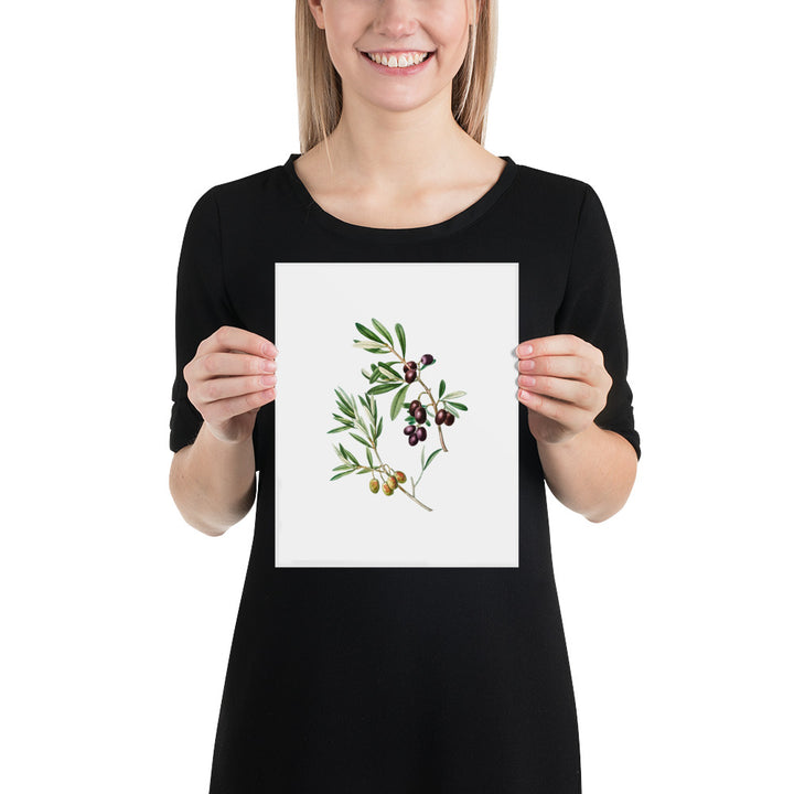 Green Olives with Leaves Poster