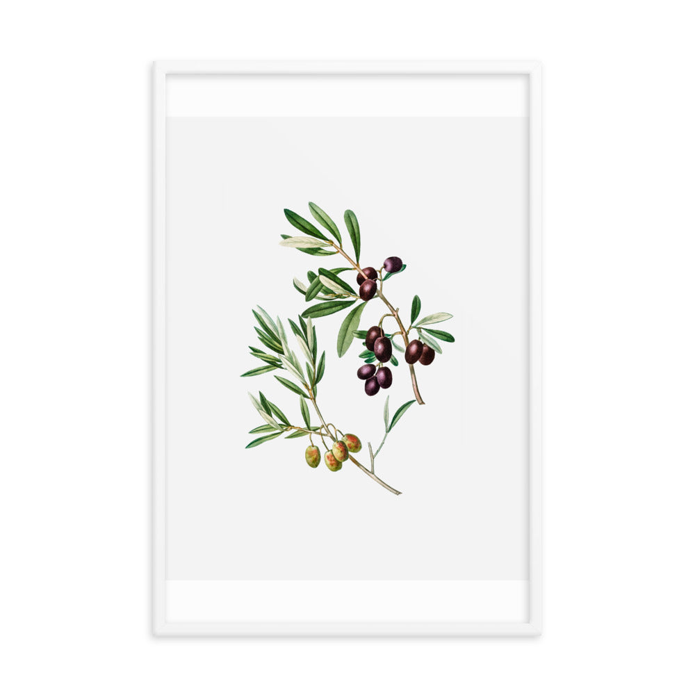 Framed Poster Green Olives with Leaves