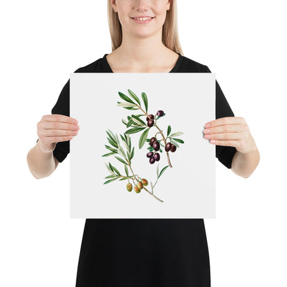Green Olives with Leaves Poster