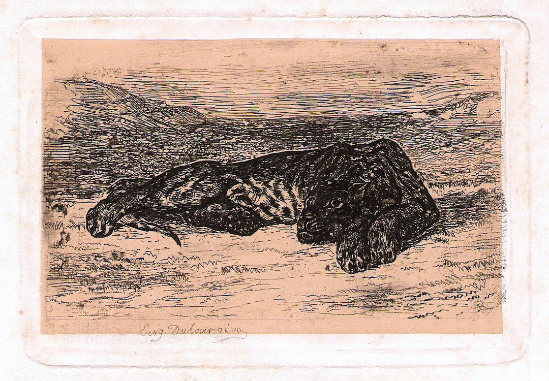 Panther by Eugène Delacroix Reproduction Painting by Blue Surf Art