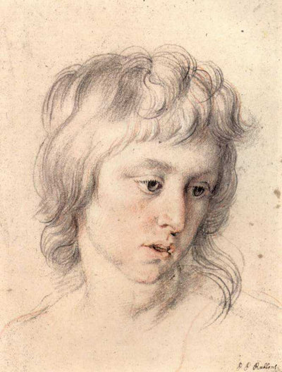 Portrait of boy by Peter Paul Rubens Reproduction Oil Painting on Canvas
