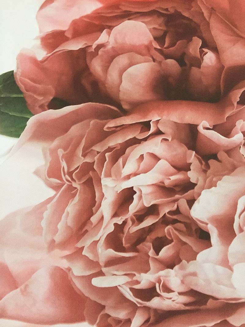 The Vintage Floral