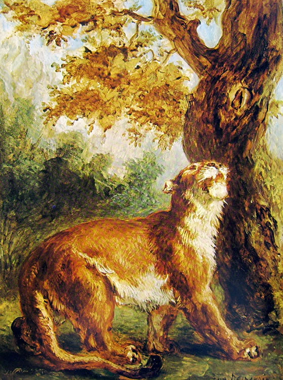 Puma (Lioness watching prey) by Eugène Delacroix Reproduction Painting by Blue Surf Art