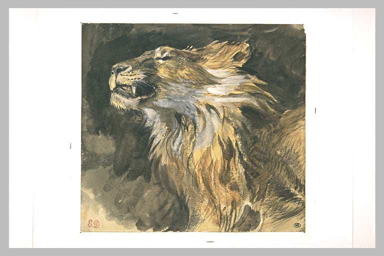 Roaring lion's head by Eugène Delacroix Reproduction Painting by Blue Surf Art